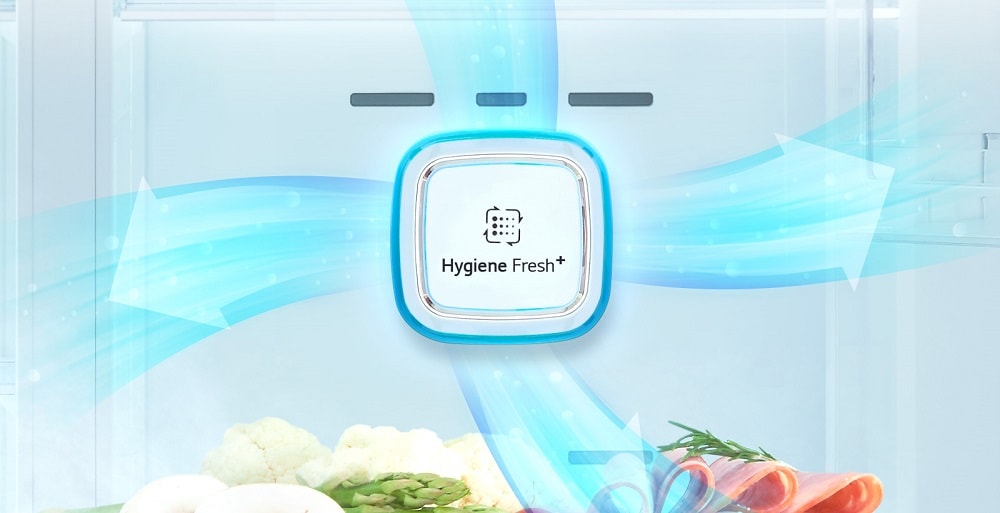 فیلتر بهداشتی ™+Hygiene Fresh در یخچال ال جی 337